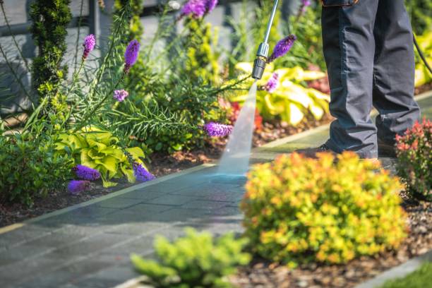 Winterizing Services in Overlea, MD