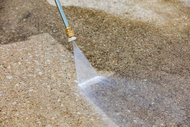 Best Warehouse Cleaning  in Overlea, MD